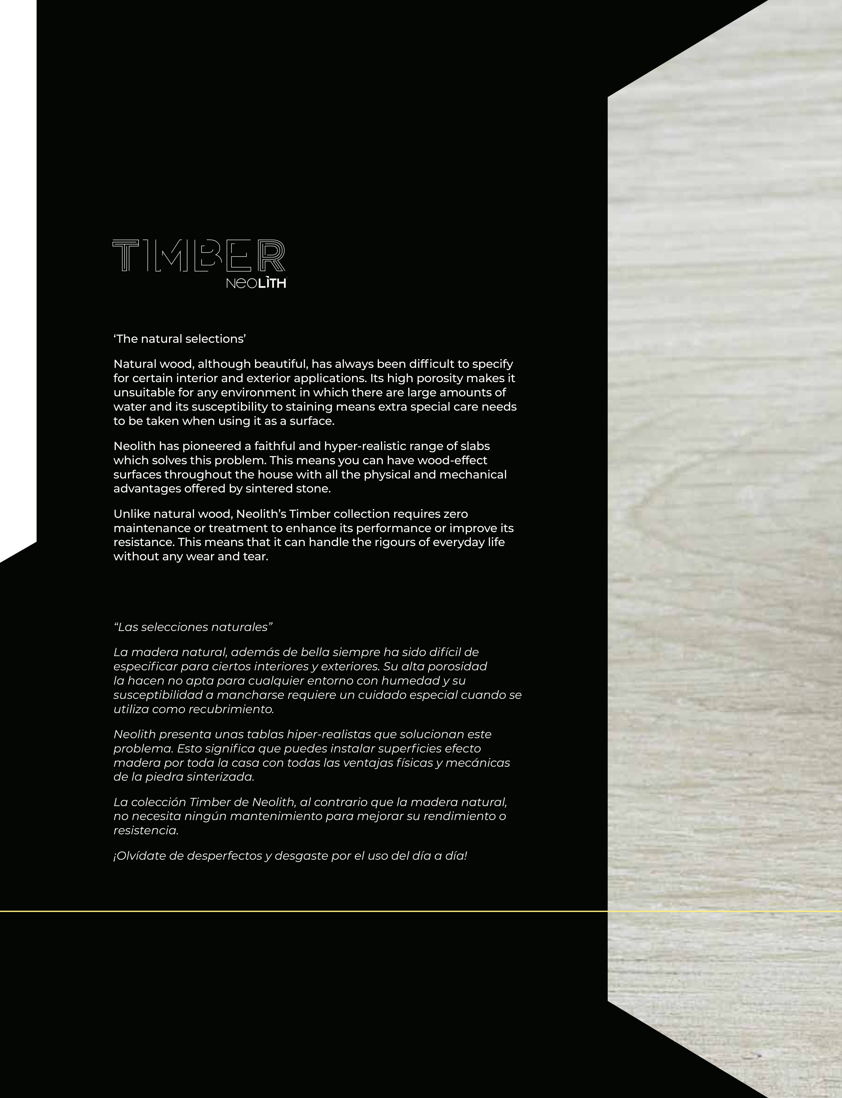 Neolith